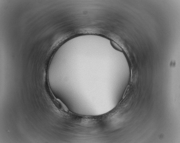 X0000096690109200802261550