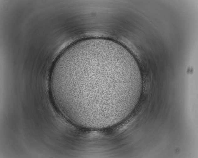 X0000096690111200802261550