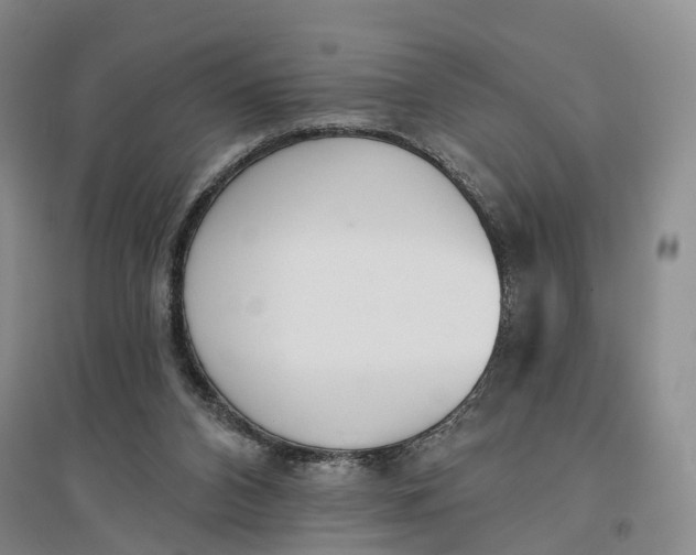 X0000096690112200802261550