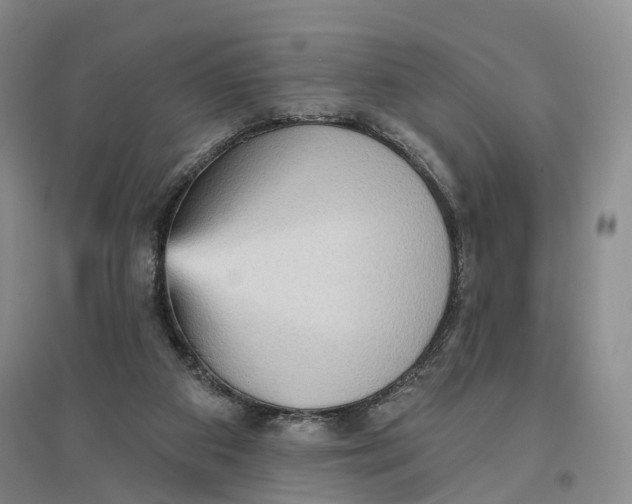 X0000096690113200802261550