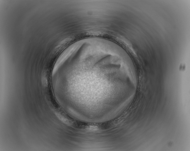 X0000096690114200802261550