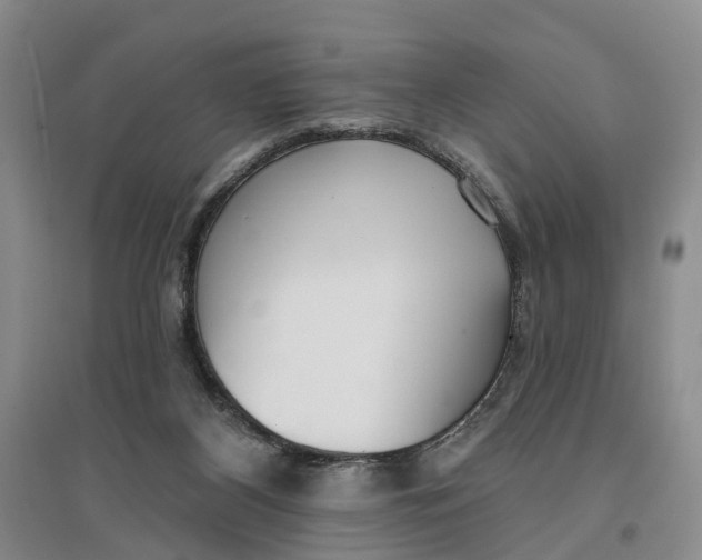 X0000096690116200802261550