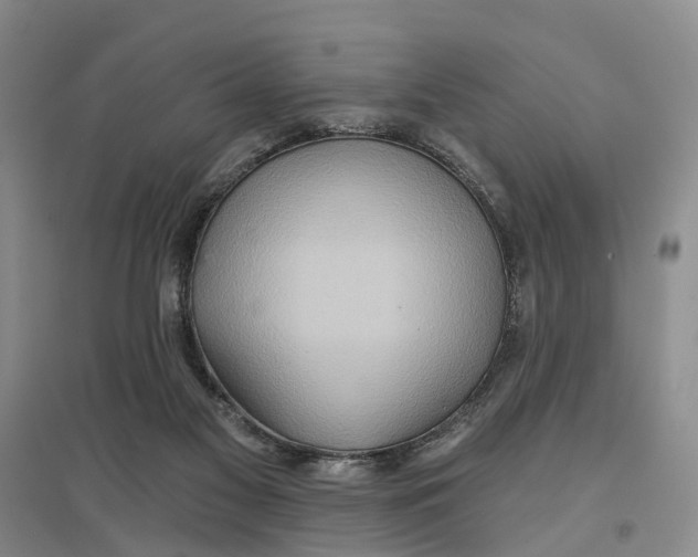 X0000096690117200802261550