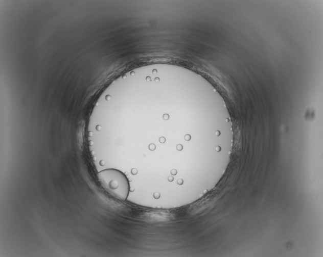 X0000096690118200802261550