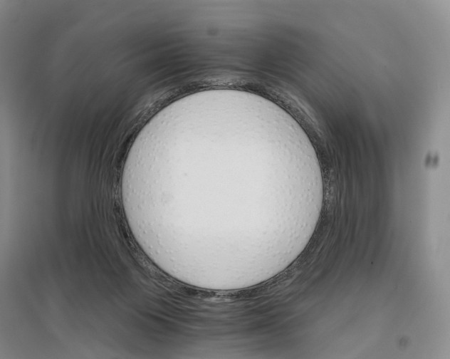 X0000096690119200802261550