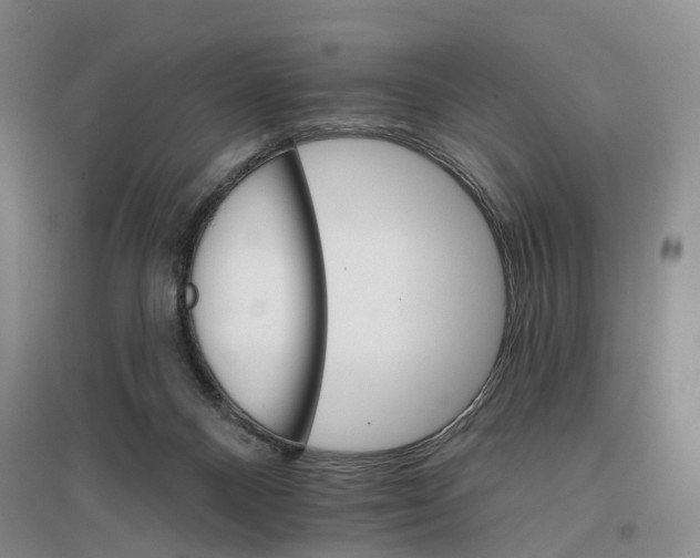 X0000096690120200802261550