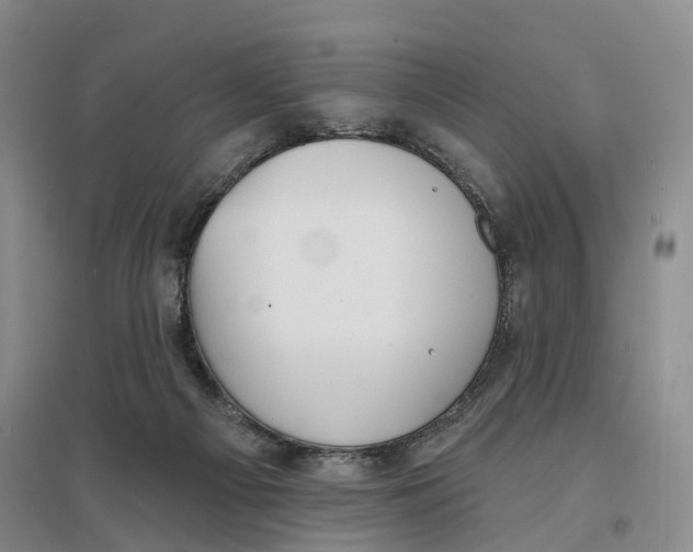 X0000096690121200802261550