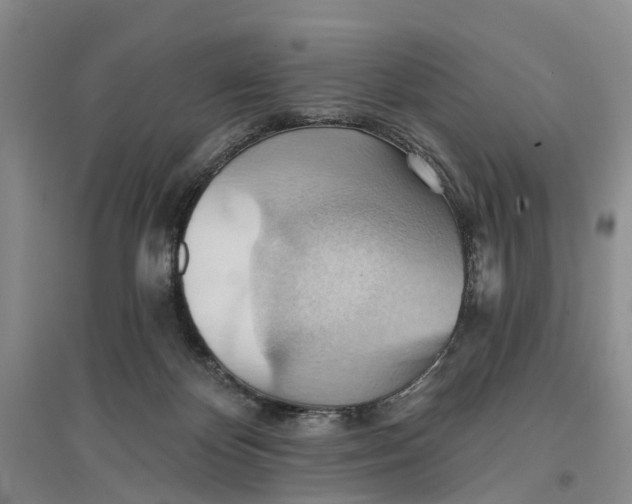 X0000096690124200802261550