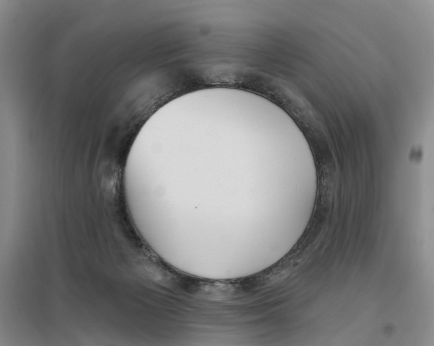 X0000096690125200802261550