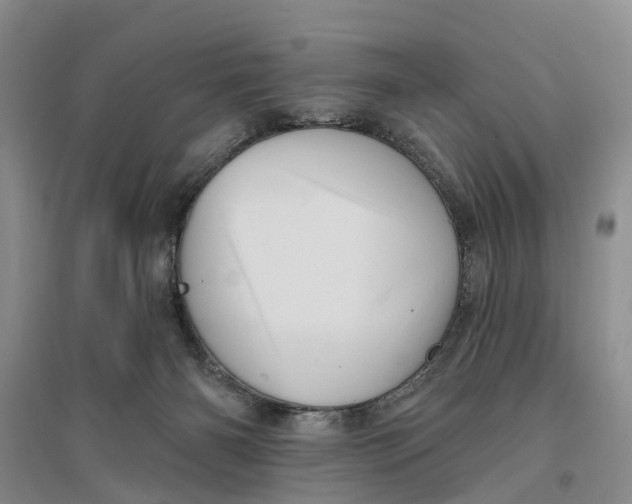 X0000096690126200802261550