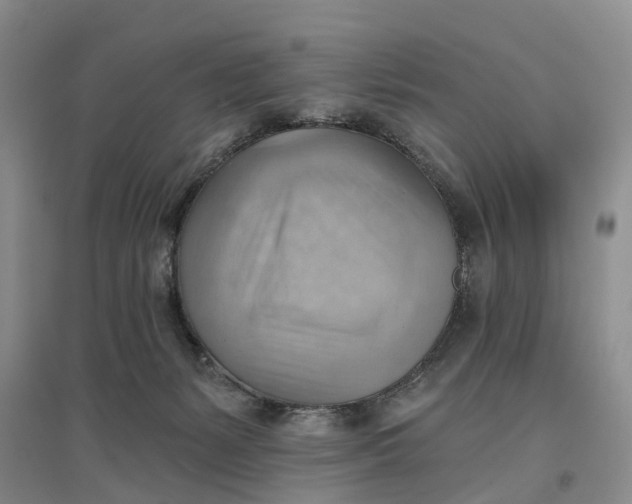 X0000096690127200802261550