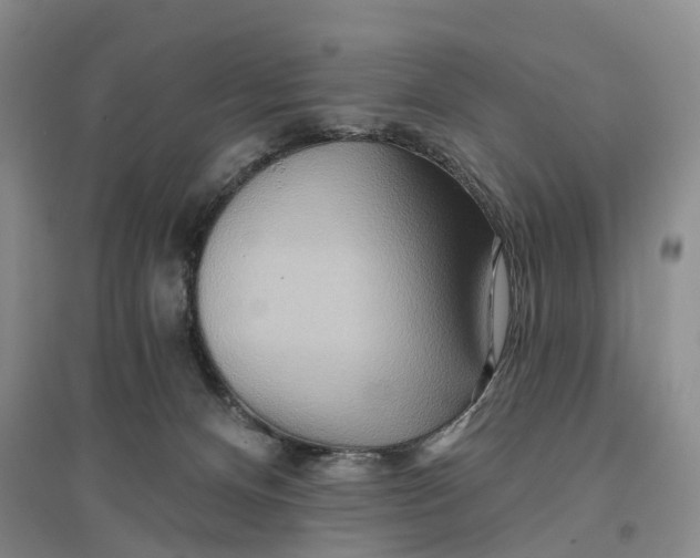 X0000096690128200802261550