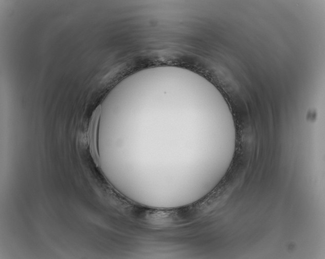 X0000096690129200802261550