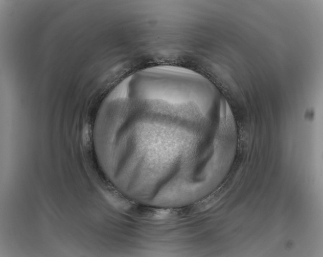 X0000096690130200802261550