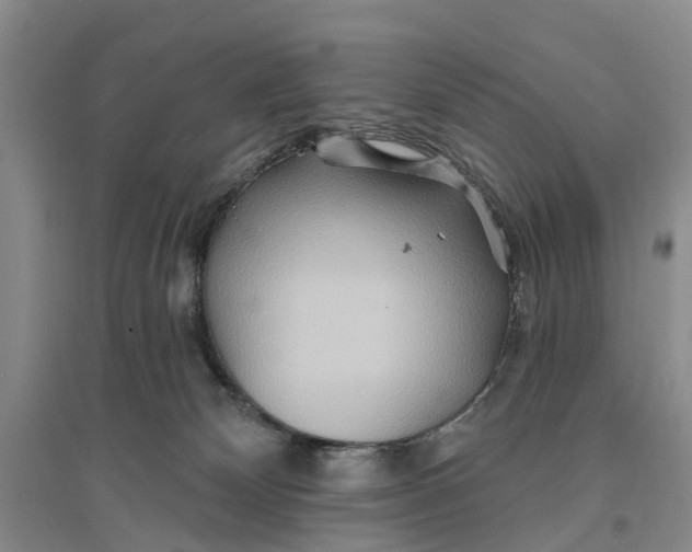 X0000096690132200802261550