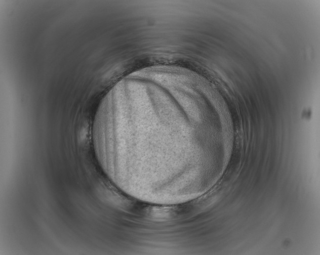 X0000096690134200802261550