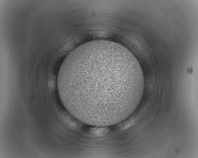 X0000096690135200802261550