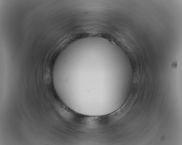 X0000096690136200802261550