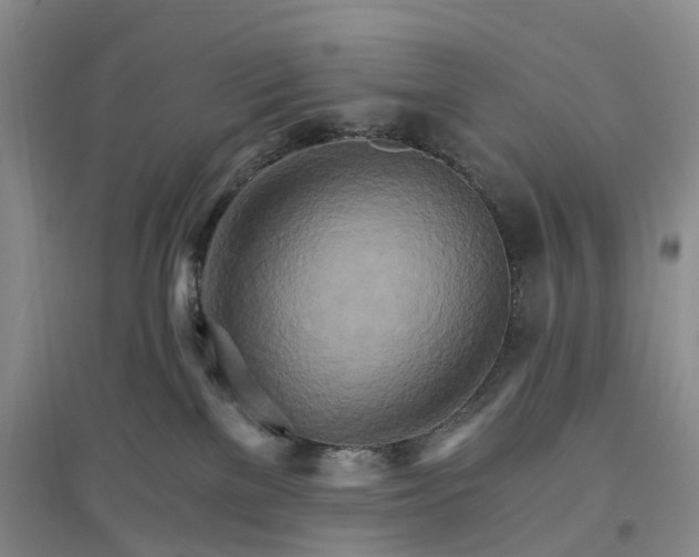 X0000096690137200802261550