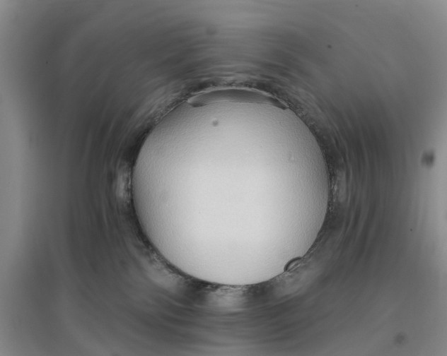 X0000096690138200802261550