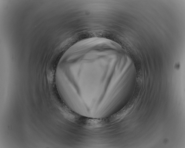 X0000096690139200802261550