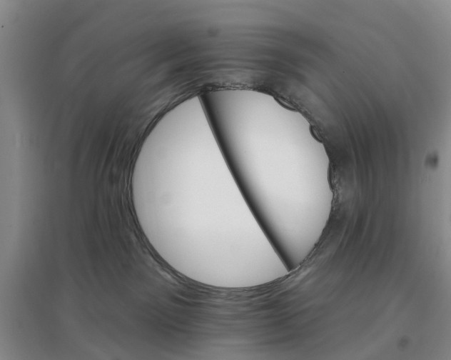 X0000096690141200802261549