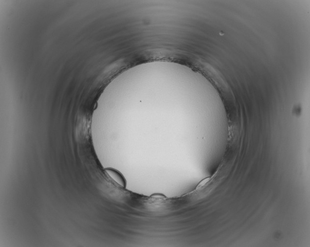 X0000096690142200802261549