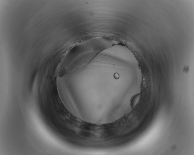 X0000096690143200802261549