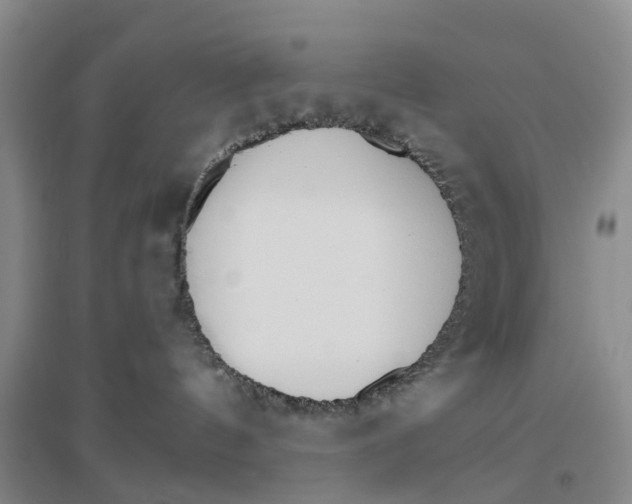 X0000096690144200802261549