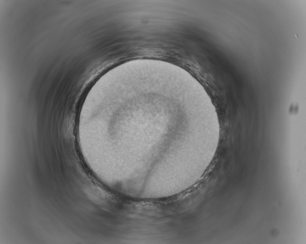 X0000096690146200802261549