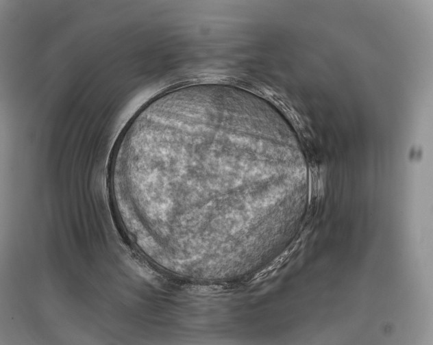 X0000096690147200802261549