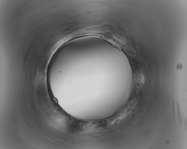 X0000096690148200802261549