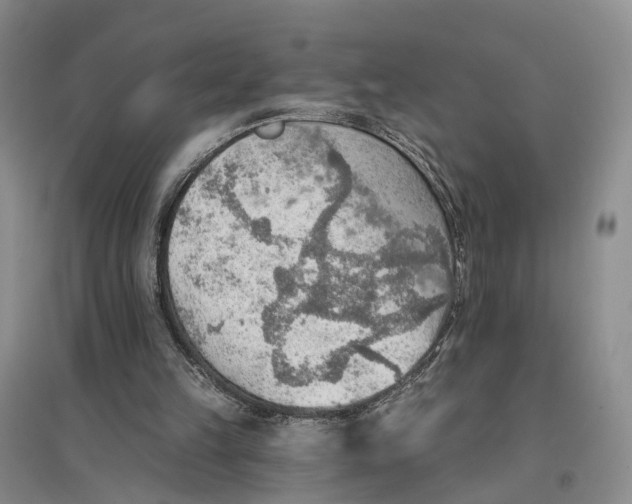 X0000096690149200802261549