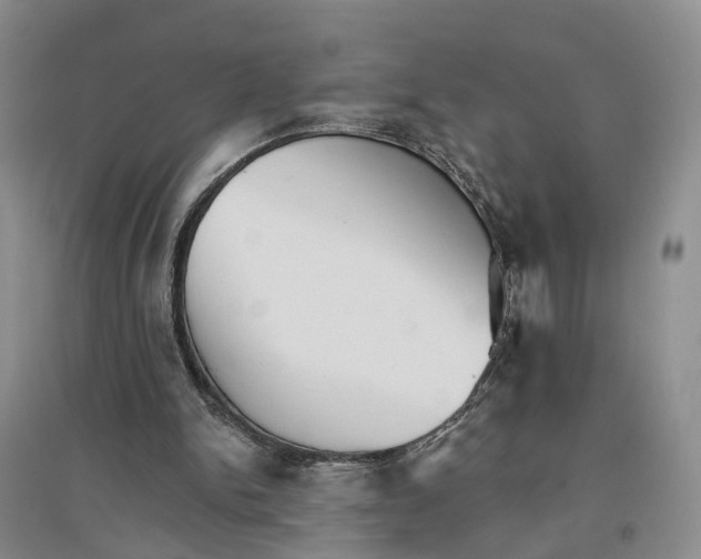 X0000096690150200802261549