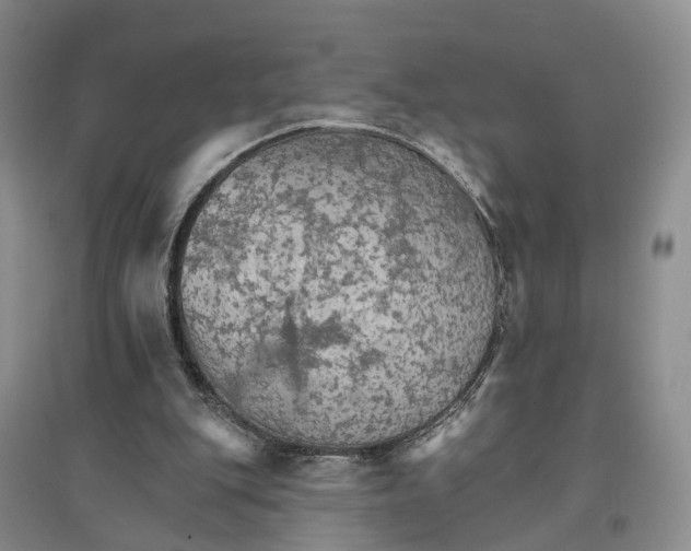 X0000096690151200802261549