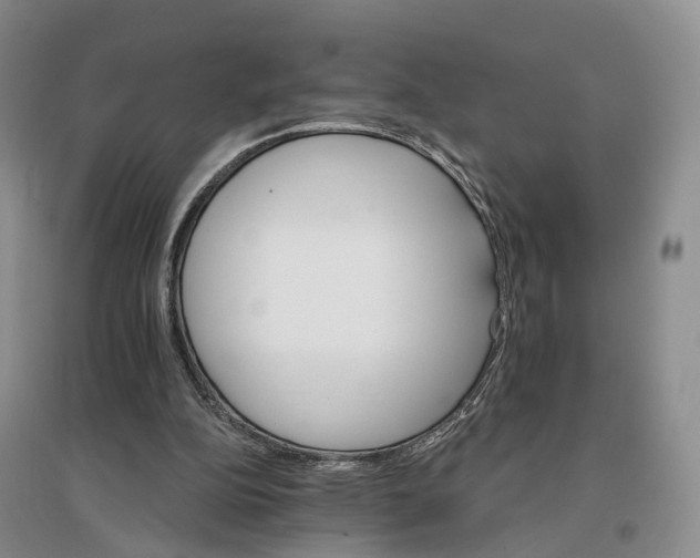 X0000096690152200802261549