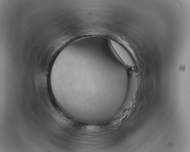 X0000096690154200802261549