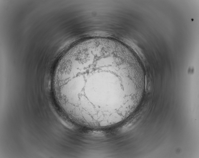 X0000096690157200802261549