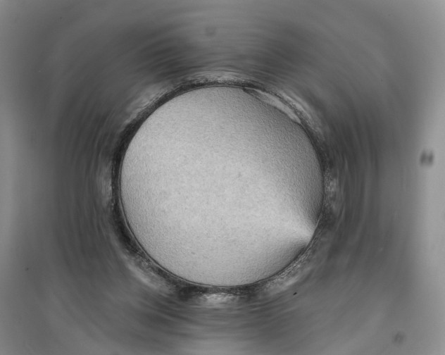 X0000096690158200802261549