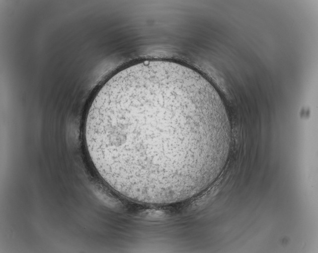 X0000096690159200802261549