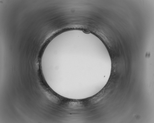 X0000096690160200802261549