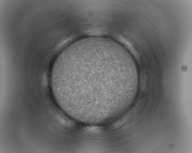 X0000096690161200802261549