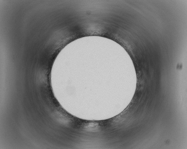 X0000096690162200802261549