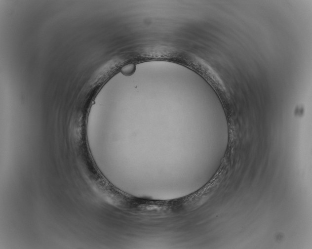 X0000096690163200802261549