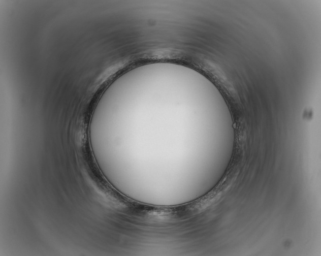 X0000096690164200802261549