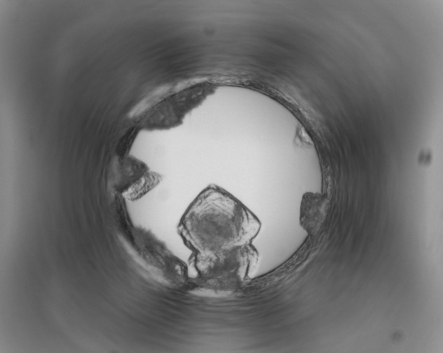 X0000096690165200802261549