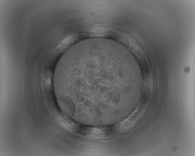 X0000096690166200802261549