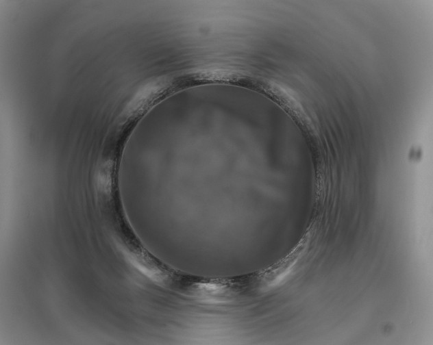 X0000096690167200802261549