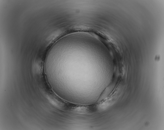 X0000096690168200802261549