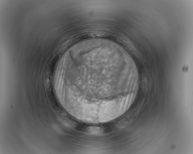 X0000096690169200802261549